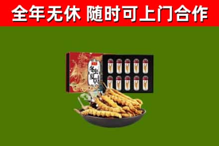 青浦回收冬虫夏草价格